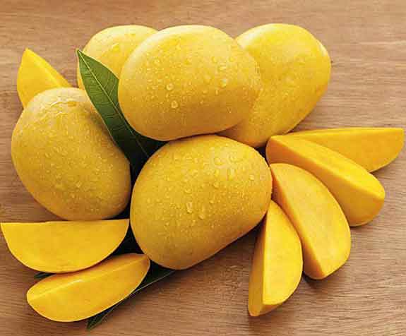 Fresh Mangoes
