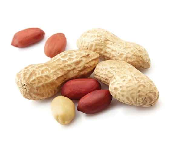 Groundnuts